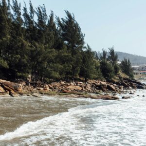 natalia-malaia-CNUIi_OHyaM-unsplash