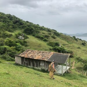 nicolle-patino-CjTNPB1QErs-unsplash