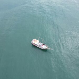 paulo-kopzinski-2be4F3c7vKo-unsplash