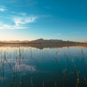 tiago-muraro-uAPUiMLWiPY-unsplash